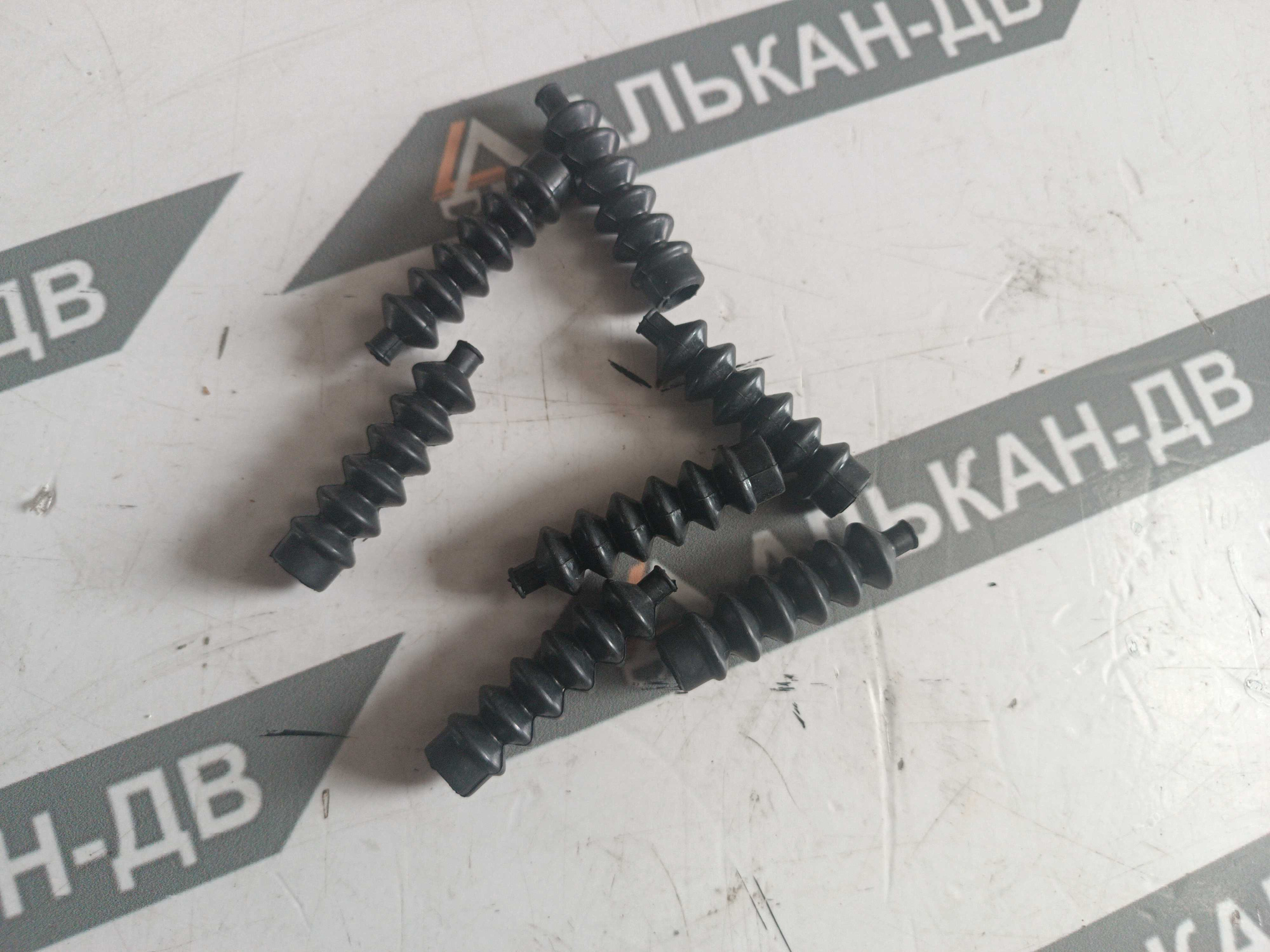12d7168c-e0ed-11ee-8109-e0cb4e1c294006112025111351
