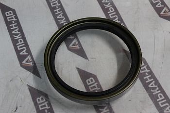 Манжета армированная 160х195х21 DB (двухсторонняя) BW4528F (ред. пов. EX100-2)