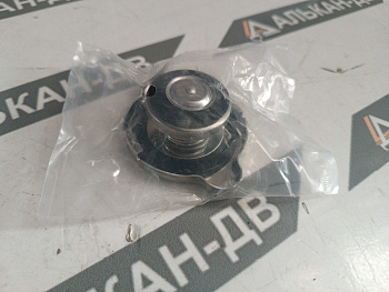 Крышка радиатора EX200 4343268