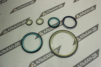 Грязесъемник DKBI 35х47х7/10 PU