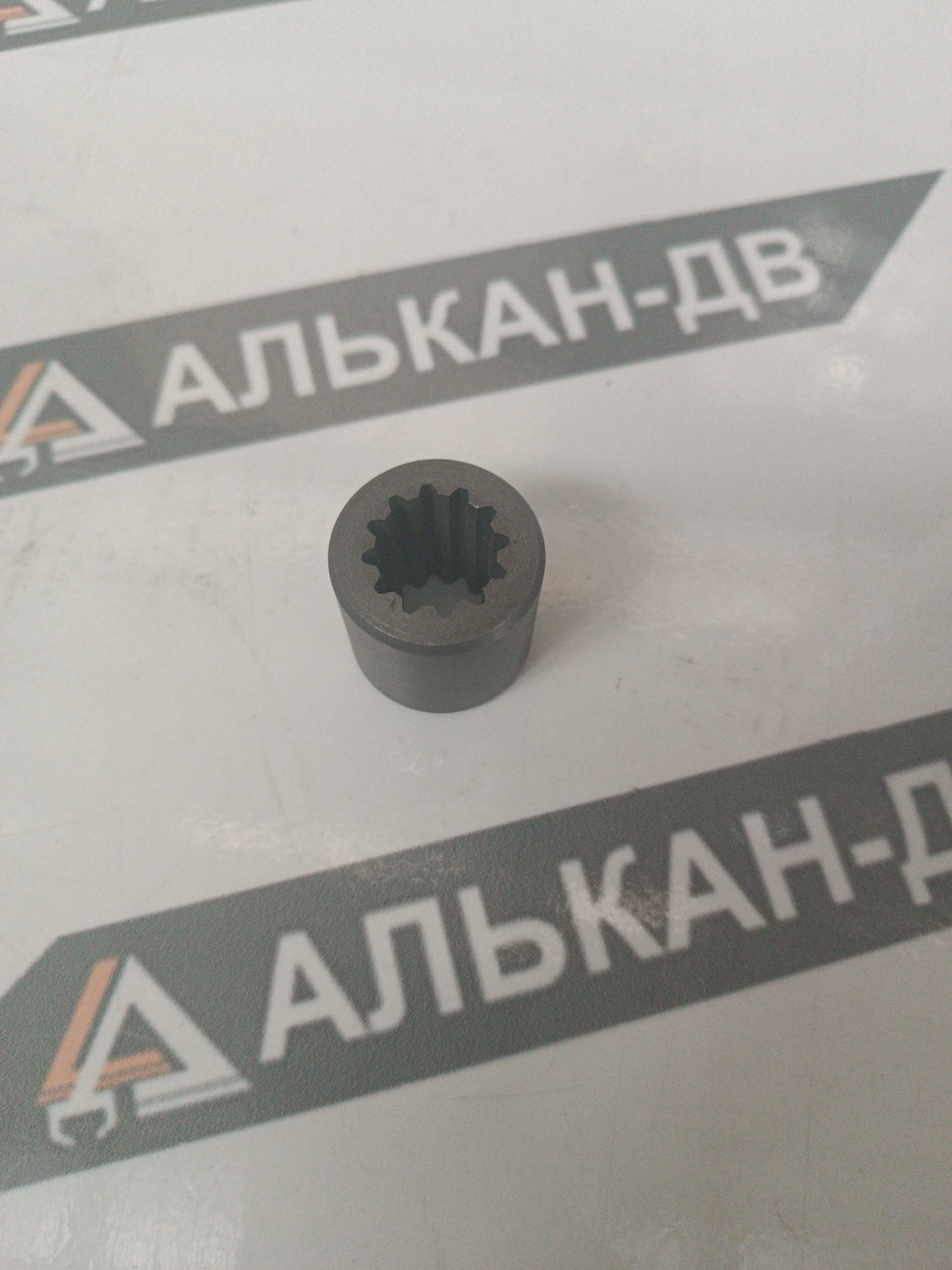 2d56d670-fd44-11ee-810b-e0cb4e1c294024022026100406