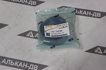 Комплект уплотнений CAT-7X2789 50,8х101,6 (2"х4")