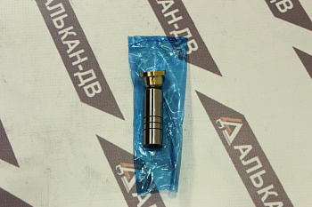 Поршень насоса PVA 5656/6565 (19мм)